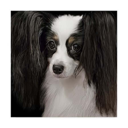 Lori Hutchison 'Papillion Black And White' Canvas Art,35x35